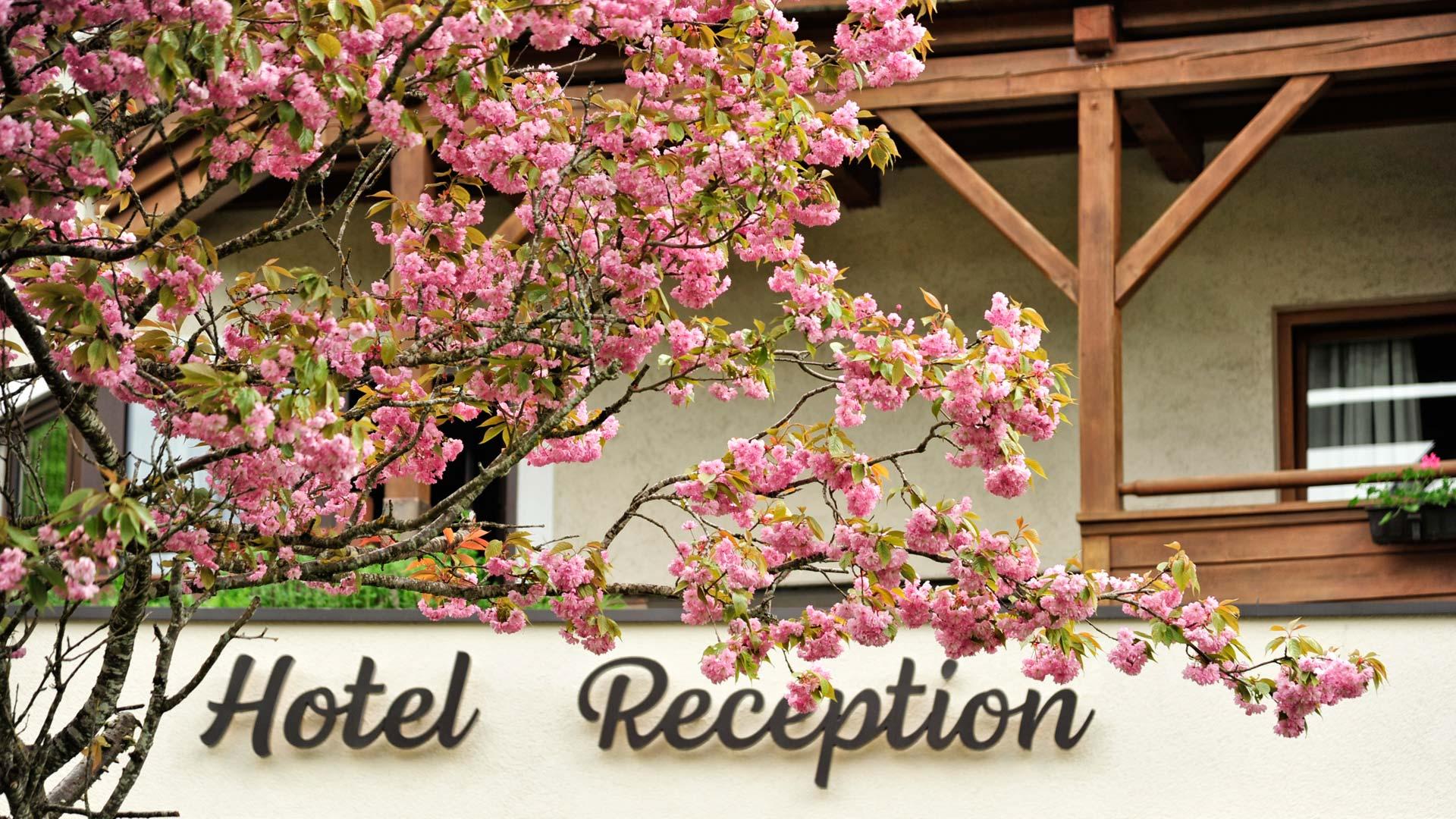 Fischerwirt Am Achensee Hotel Achenkirch Eksteriør billede
